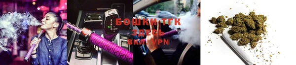 тгк Абинск