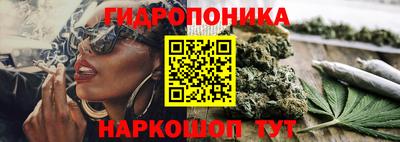трава Ставрополь