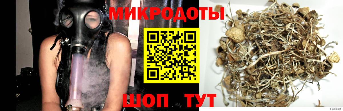наркошоп  Псилоцибиновые грибы MAGIC MUSHROOMS  Вход с VPN  Алапаевск 